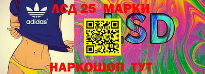 мяу мяу мука Ачхой-Мартан