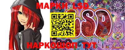 мяу мяу мука Ачхой-Мартан
