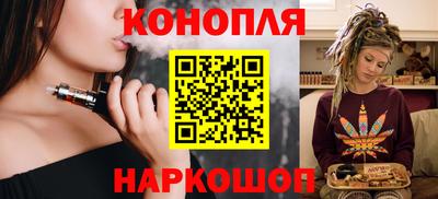 мяу мяу мука Ачхой-Мартан
