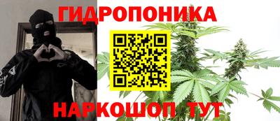 мяу мяу мука Ачхой-Мартан