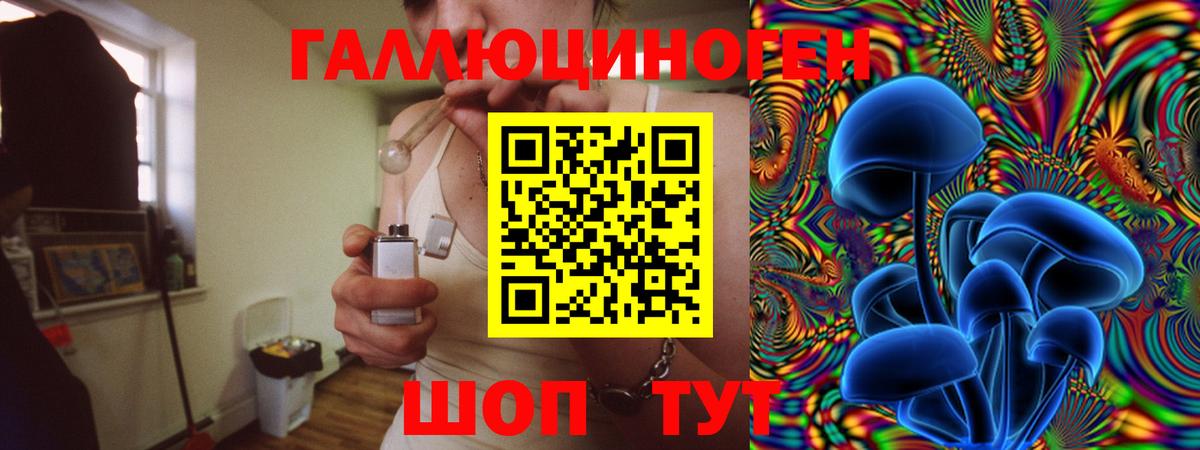Псилоцибиновые грибы мицелий Альметьевск